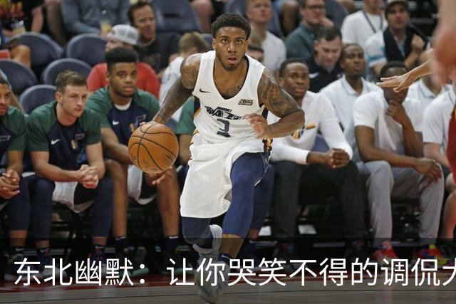 东北幽默：让你哭笑不得的调侃大餐