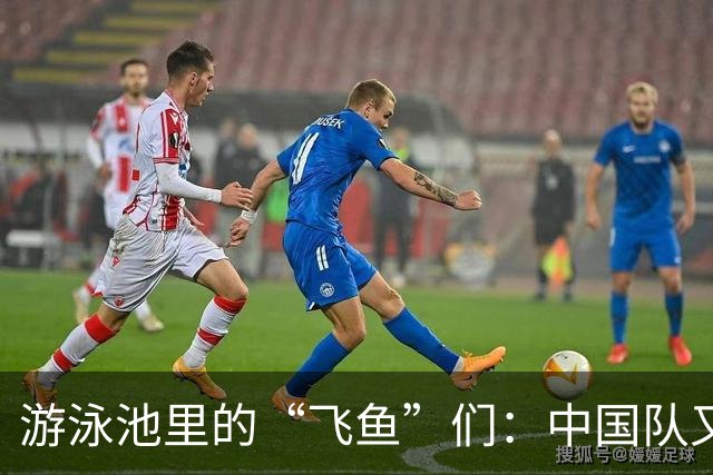 游泳池里的“飞鱼”们：中国队又夺金了！
